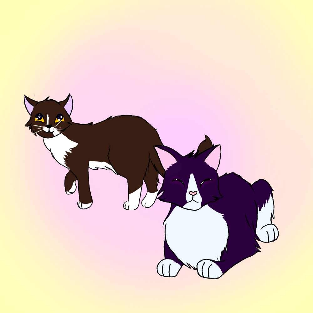 Two Cats